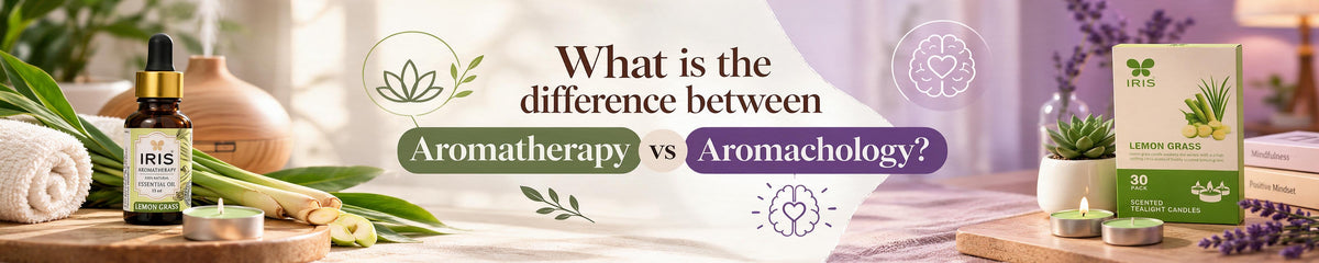 Aromatherapy vs aromachology showing essential oils and fragrance