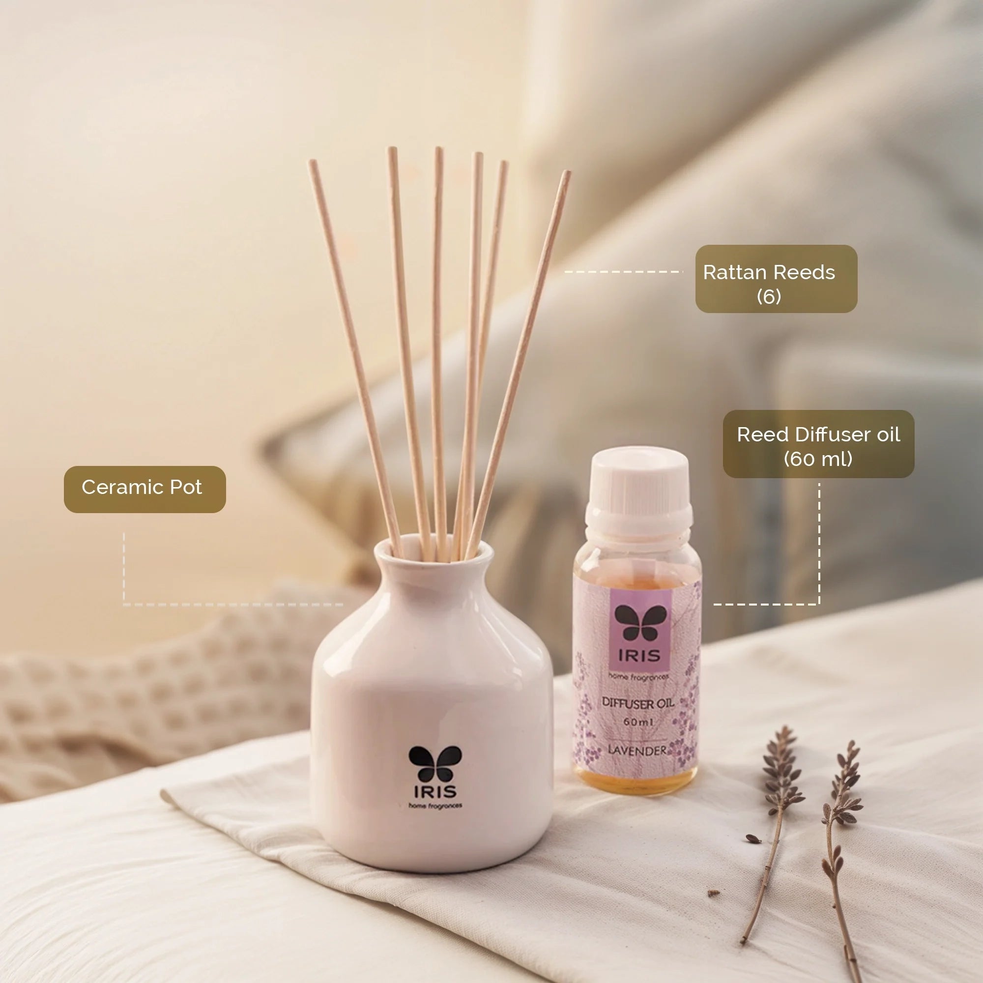 IRIS Lavender Reed Diffuser Set 101 - Main Image