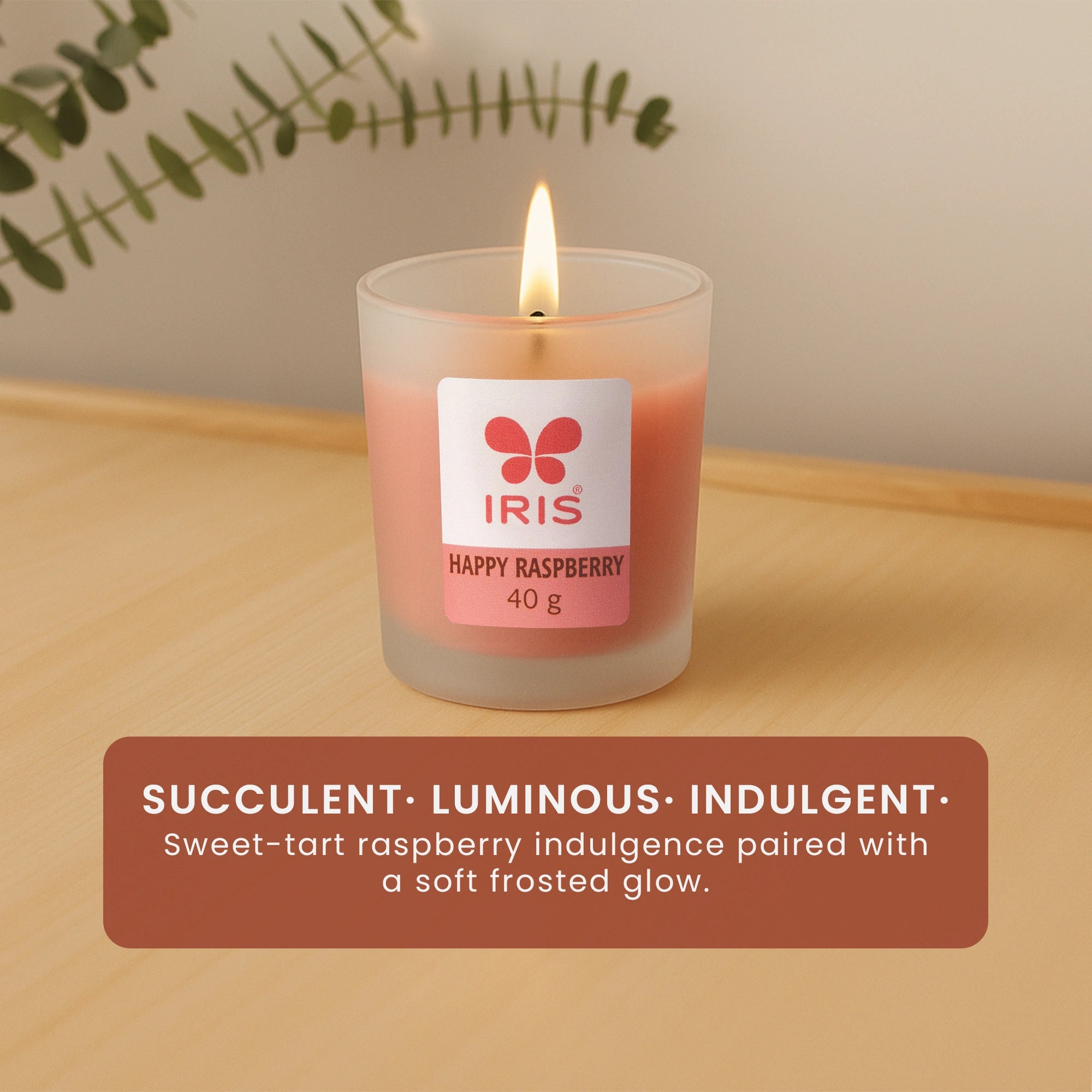 IRIS Happy Raspberry Frosted Shot Glass Scented Candle