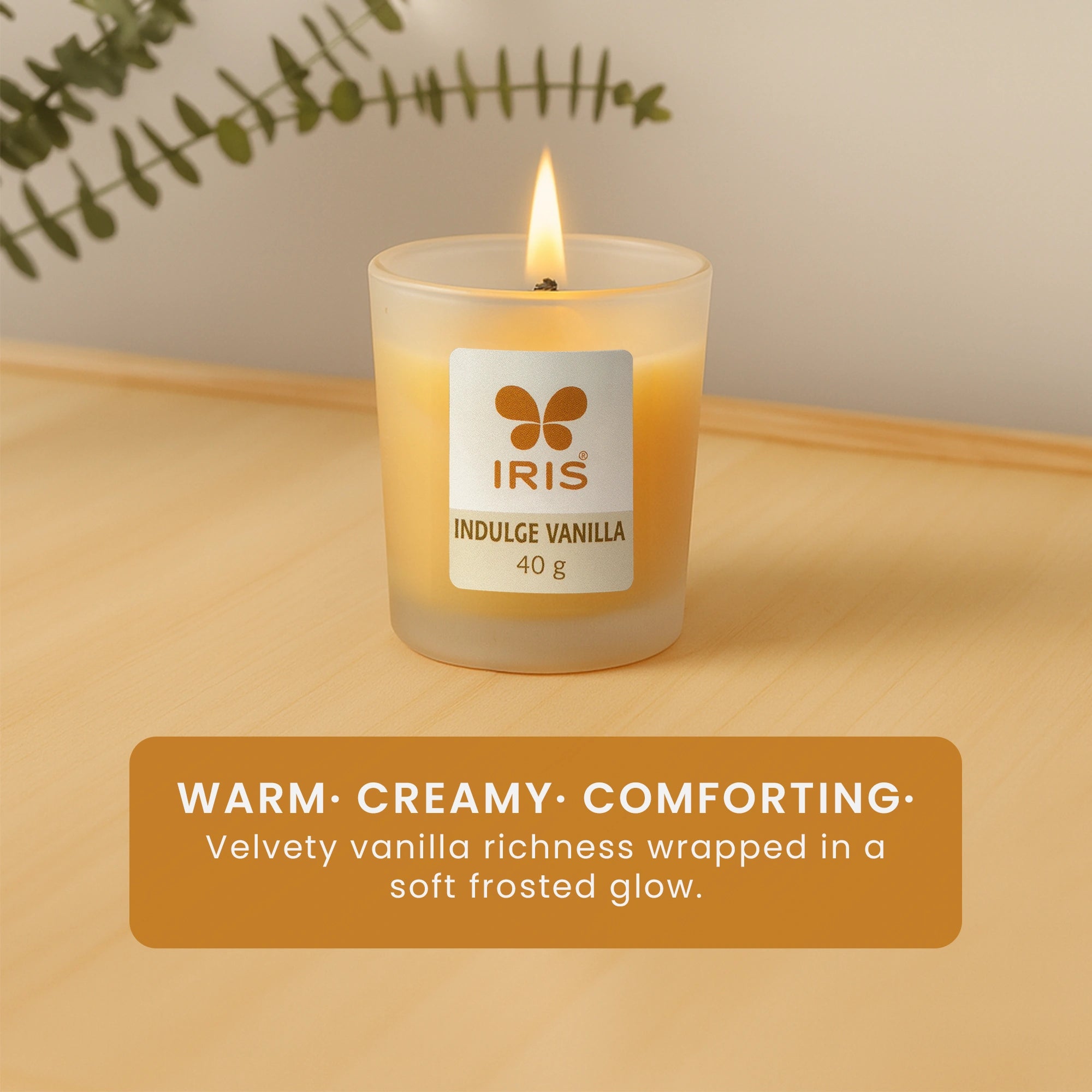 IRIS Indulge Vanilla Frosted Shot glass scented candle