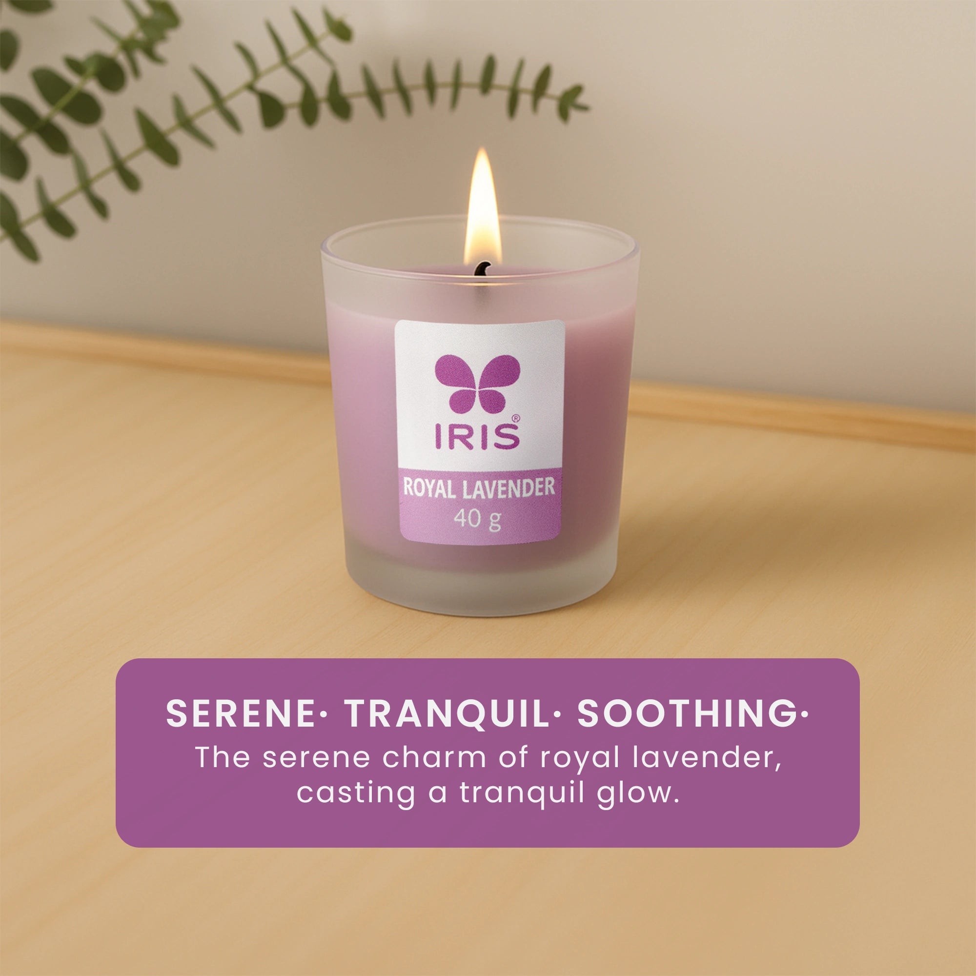 IRIS Royal Lavender Frosted Shot Glass Scented Candle