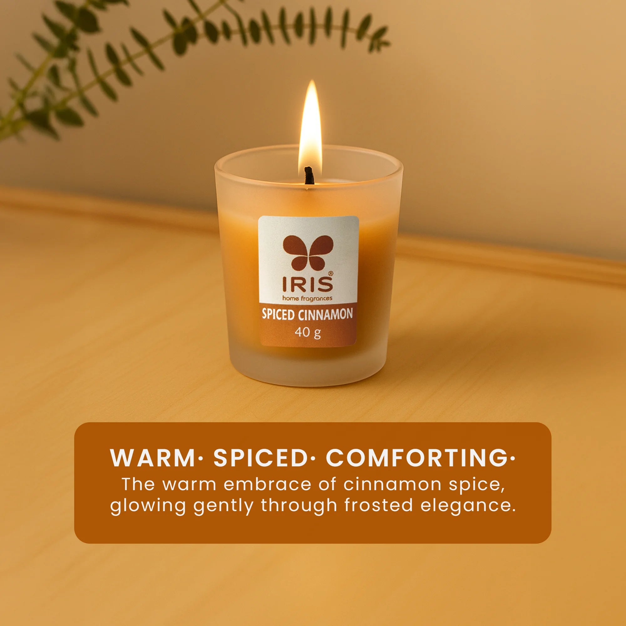 IRIS Spiced Cinnamon Frosted Shot glass scented candle