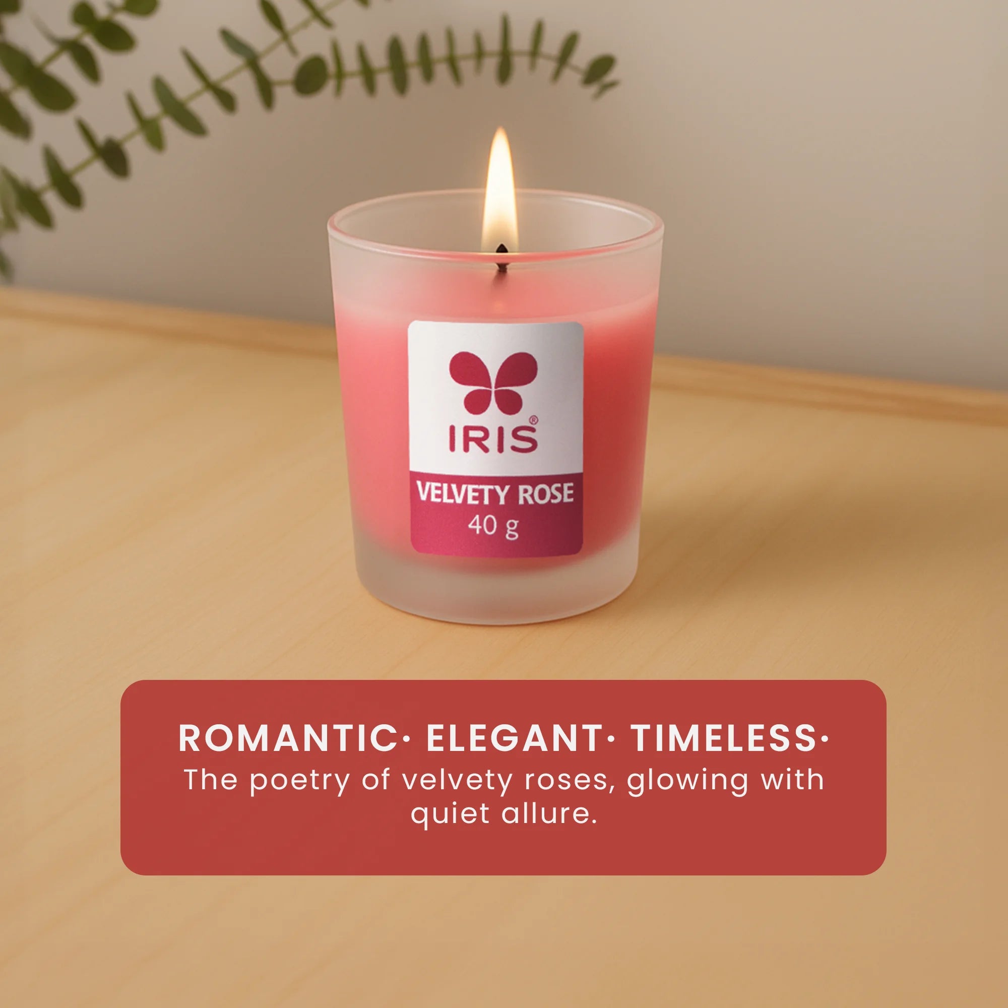 IRIS Velvety Rose Frosted Shot glass scented candle