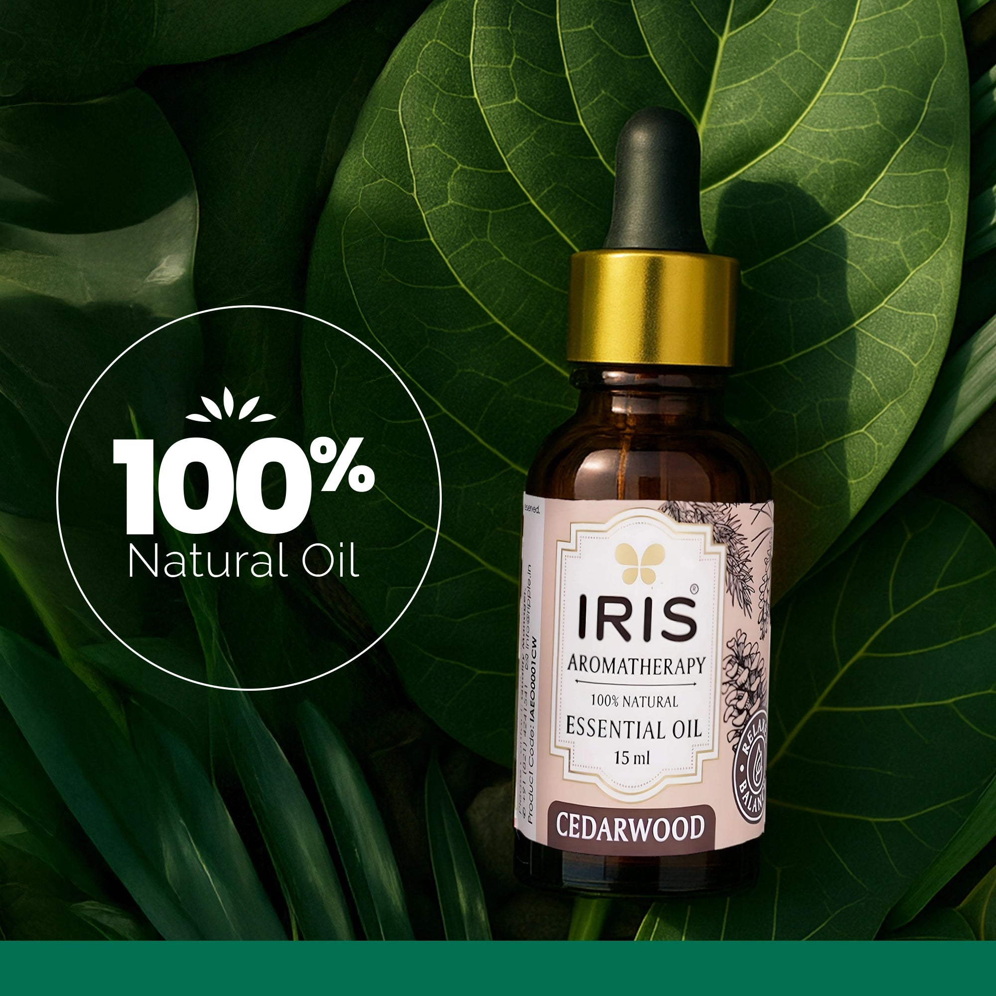 IRIS Aromatherapy Cedarwood Essential Oil