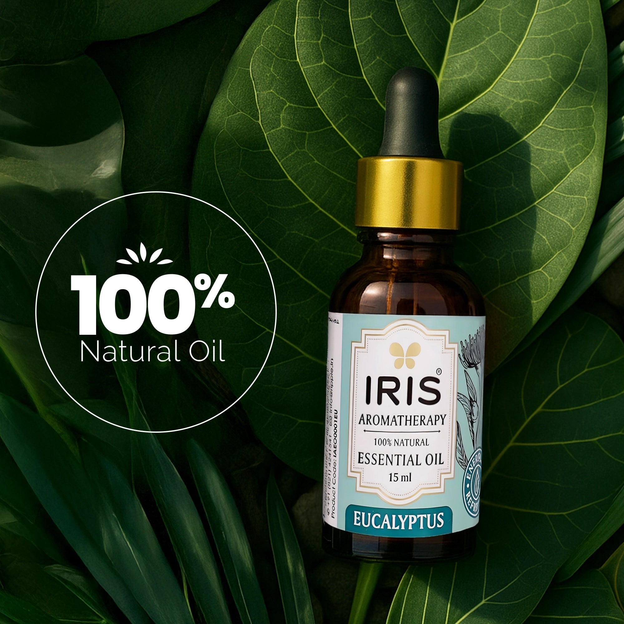IRIS Aromatherapy Eucalyptus Essential Oil