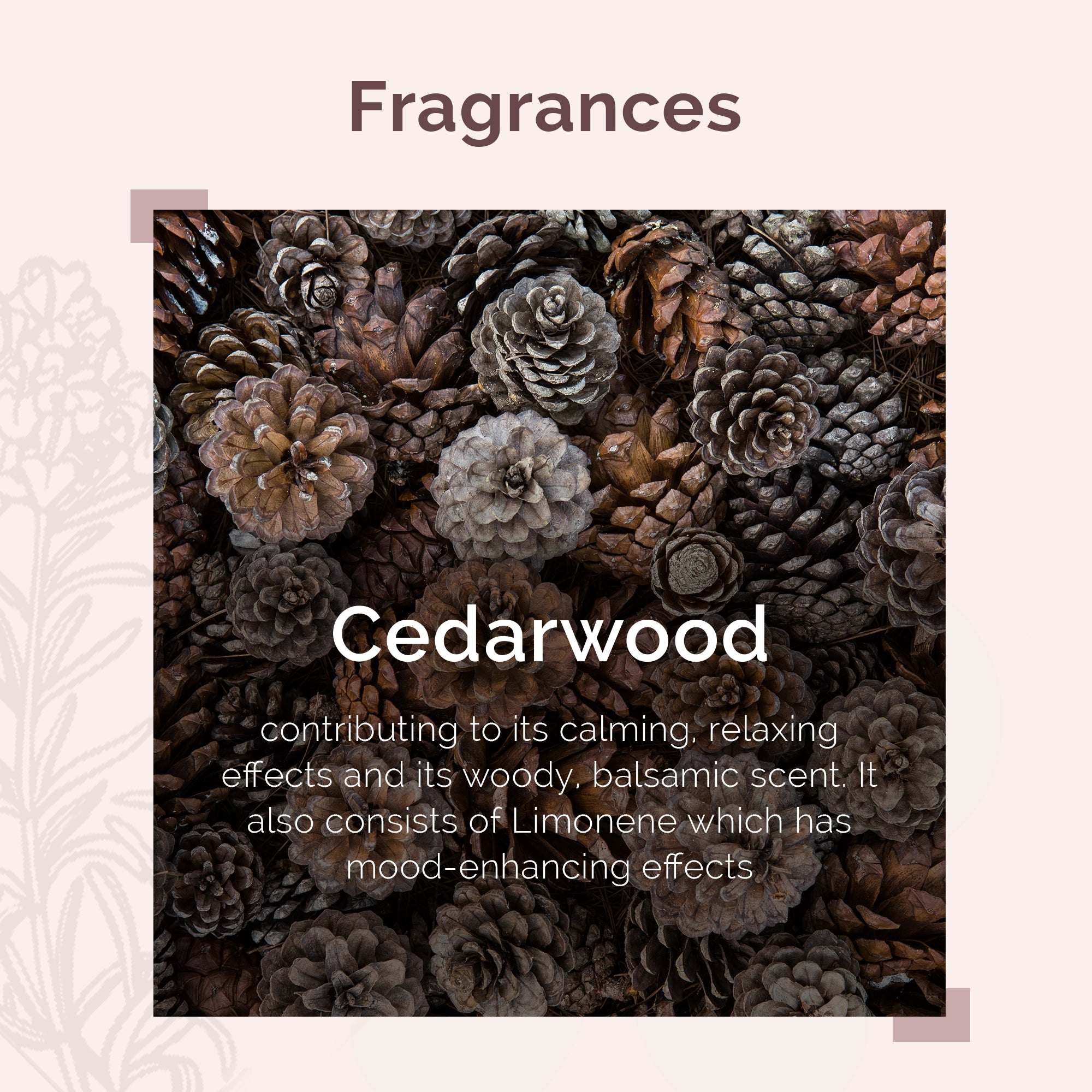 IRIS Aromatherapy Cedarwood Essential Oil