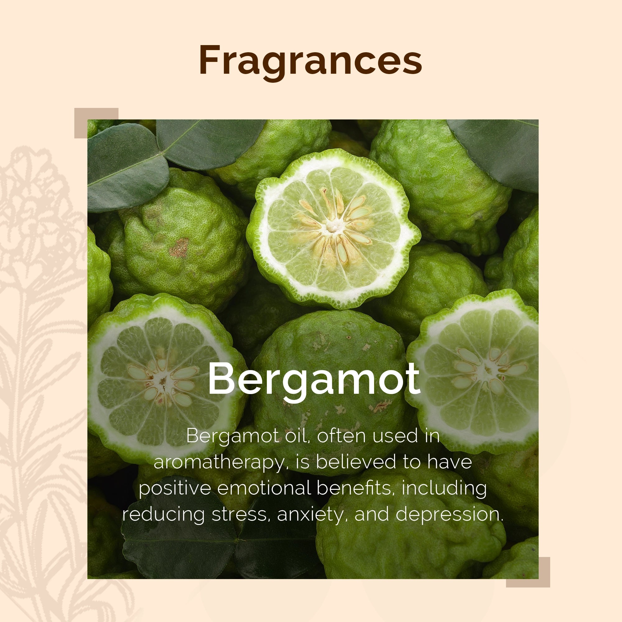 IRIS Aromatherapy Bergamot Essential Oil