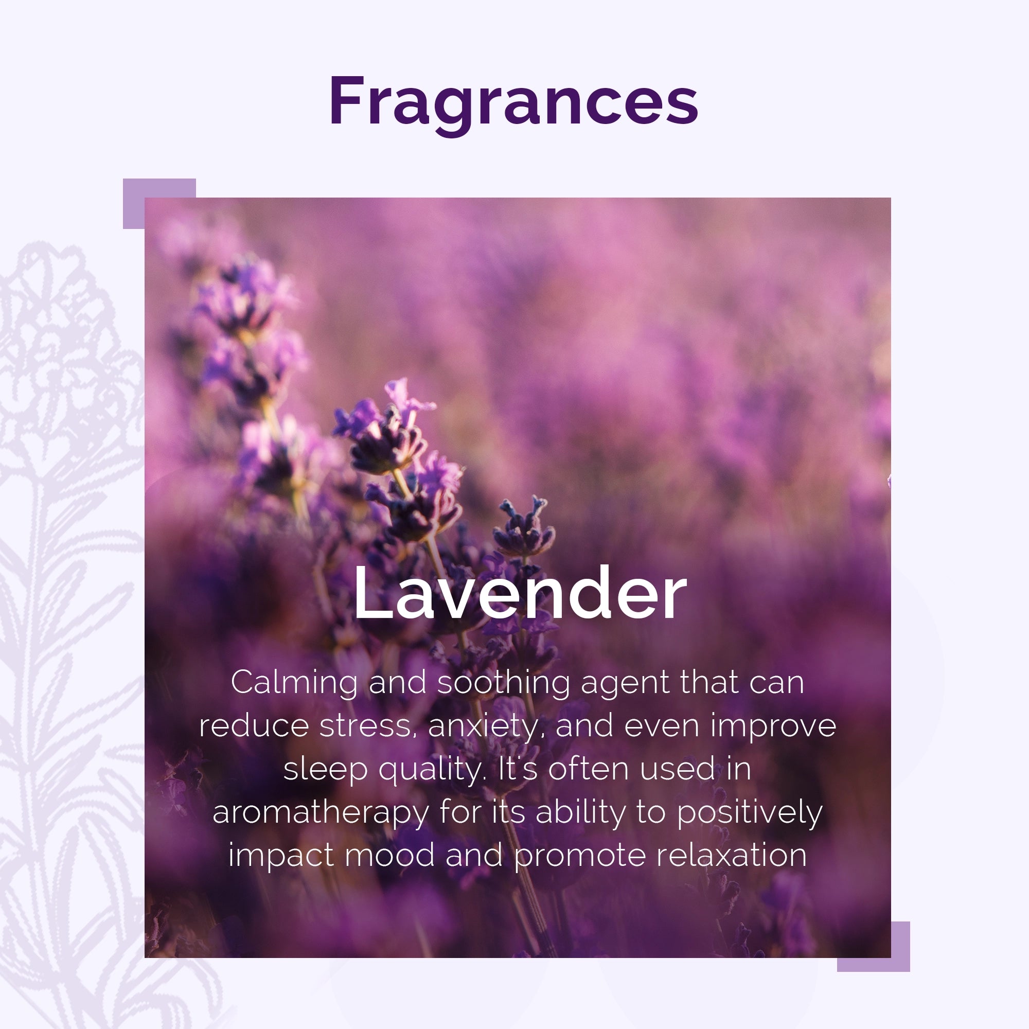 Lavender Essential Oil by IRIS Aromatherapy