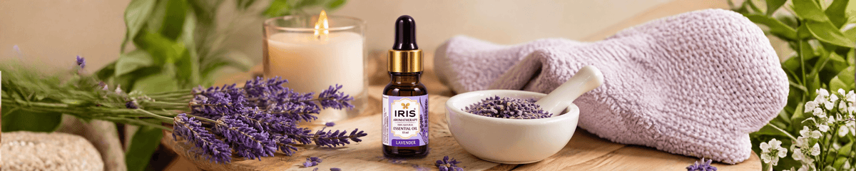 Lavender essential oil for relaxation, sleep, stress relief, and everyday wellness