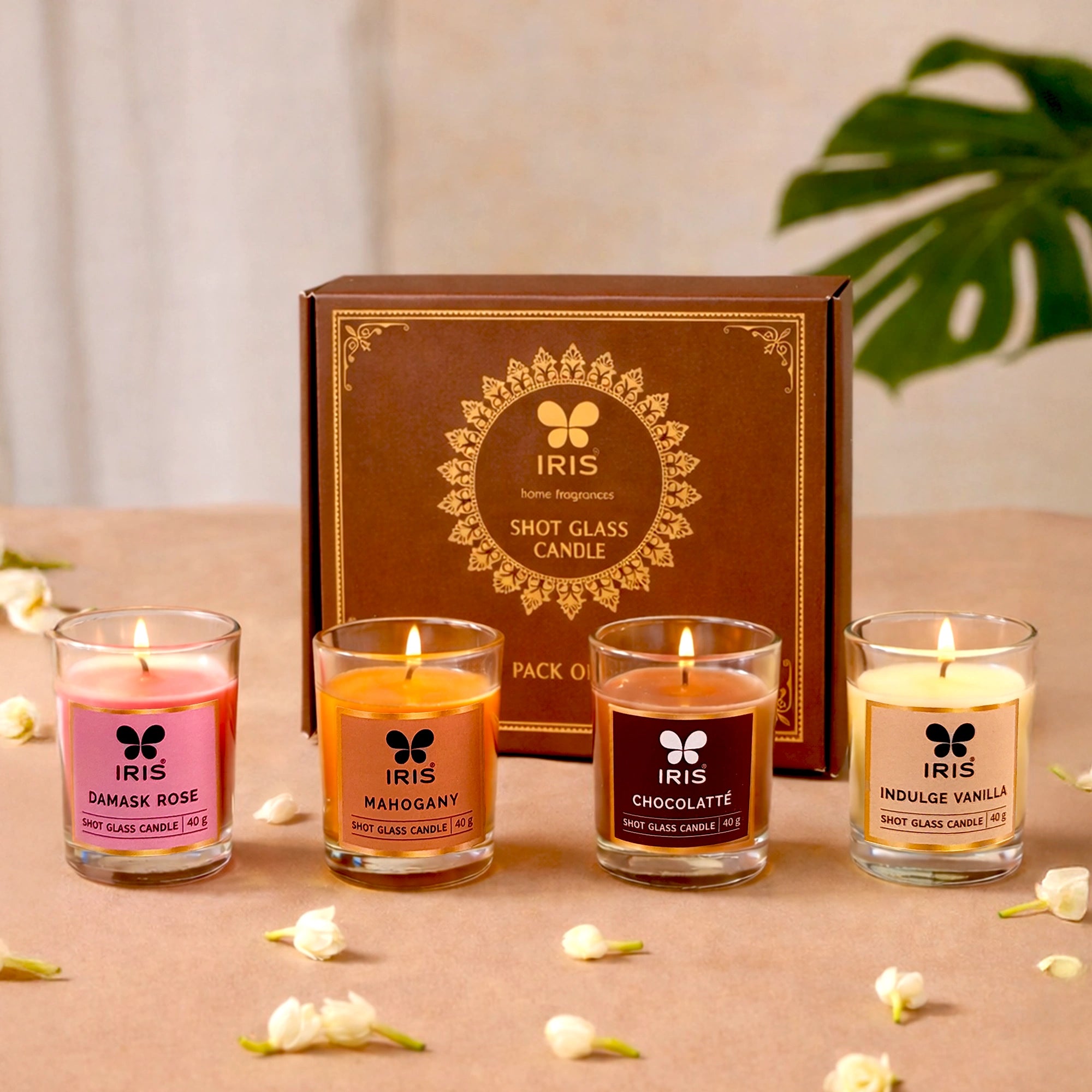Shot Glass Candle | Pack of 4 | Burning time of 8Hrs each