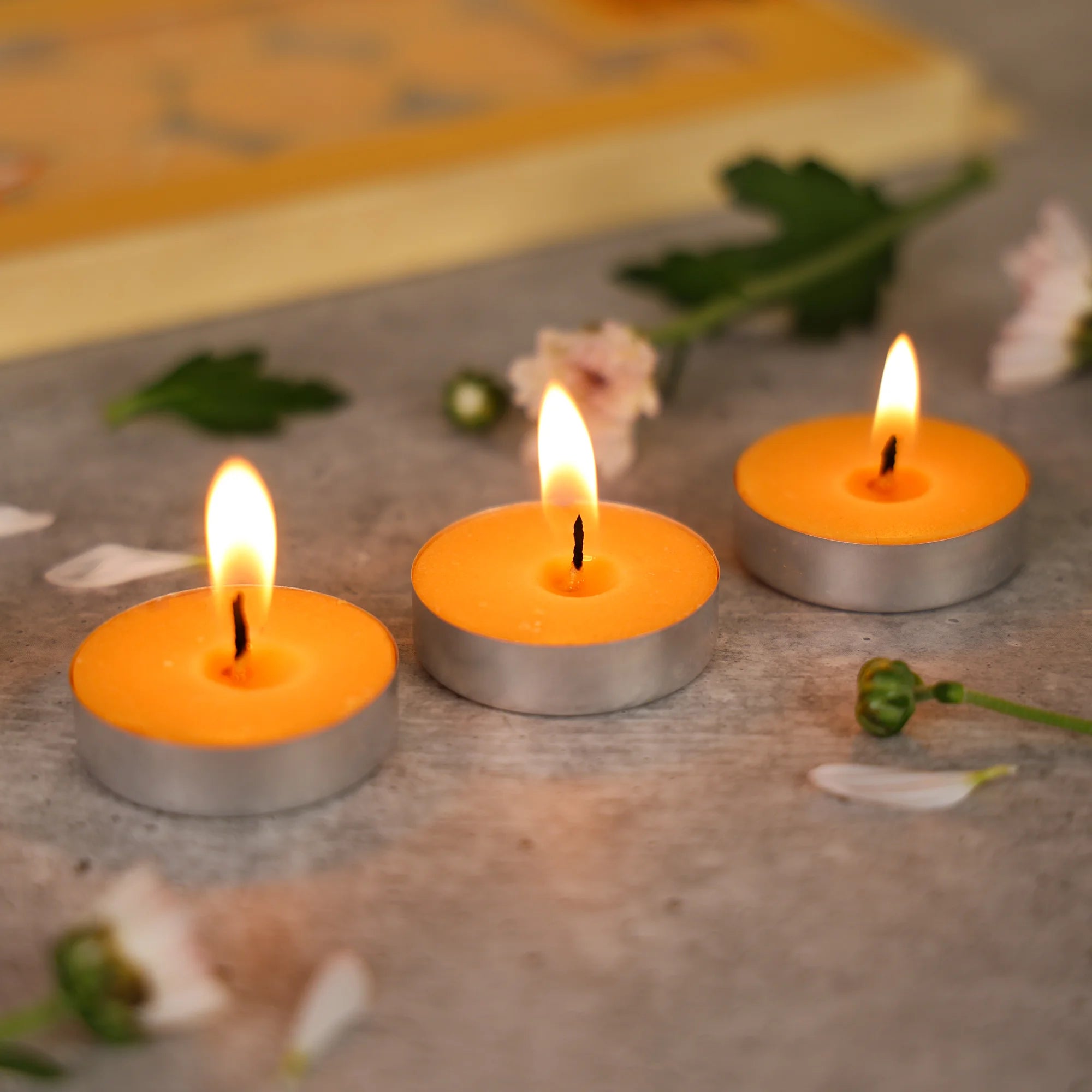 IRIS 15 Pack Fragranced Tealights - Mango Sorbet