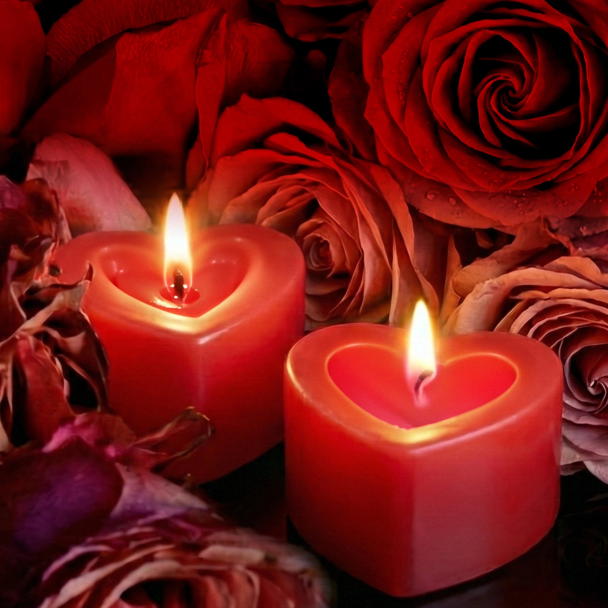 IRIS Heart to Heart Romance Candles (Set of 2)