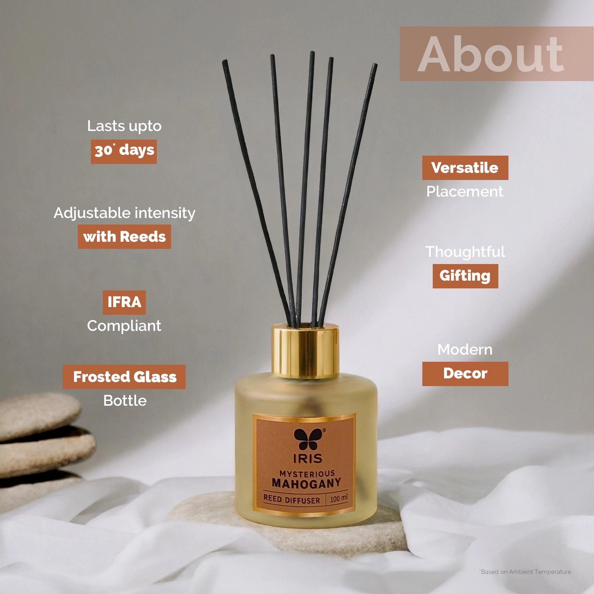 Mysterious Mahagony Frosted Glass Reed Diffuser Set by IRIS |100ml oil and 5 Fibre Reed sticks