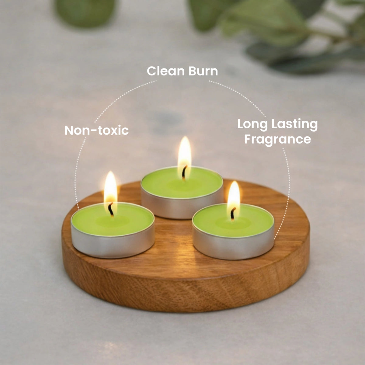 Lemongrass scented tealight candles pack of 30