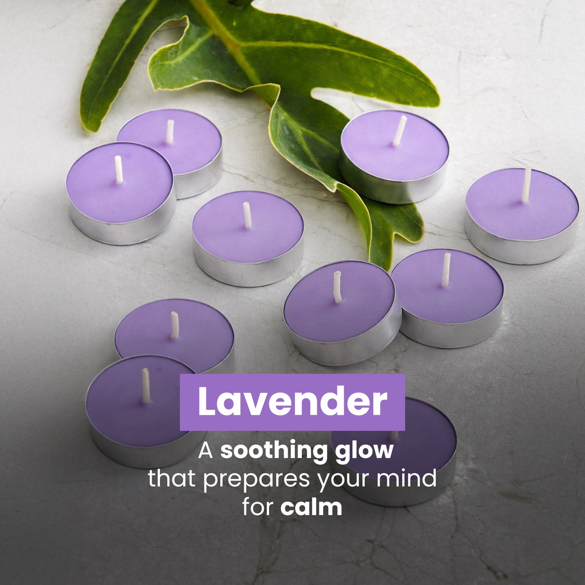 Lavender scented tealight candles pack of 30