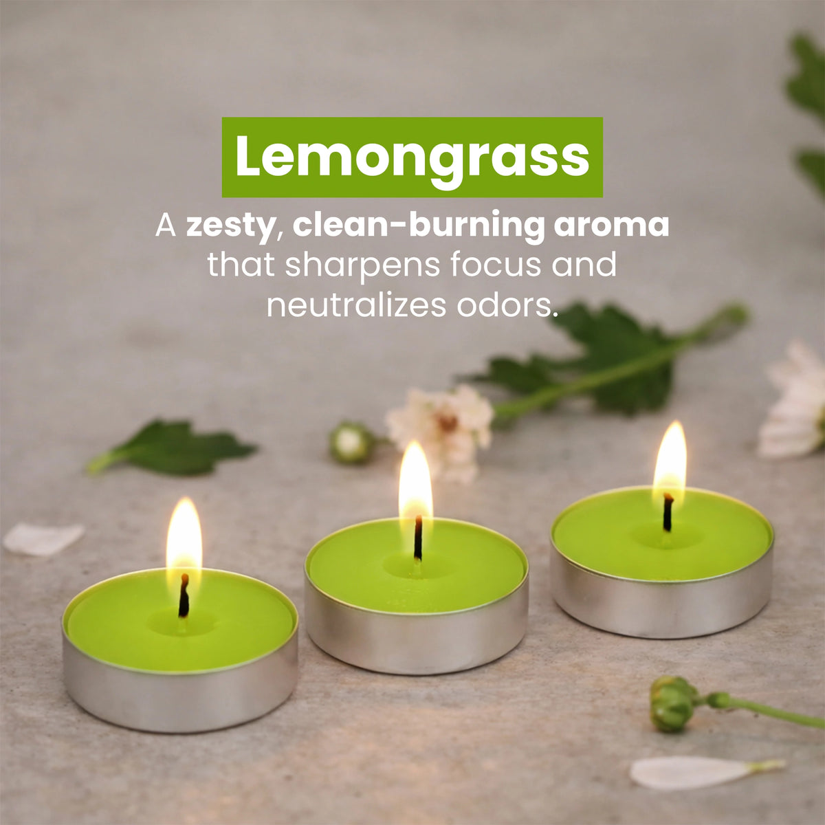 Lemongrass scented tealight candles pack of 30