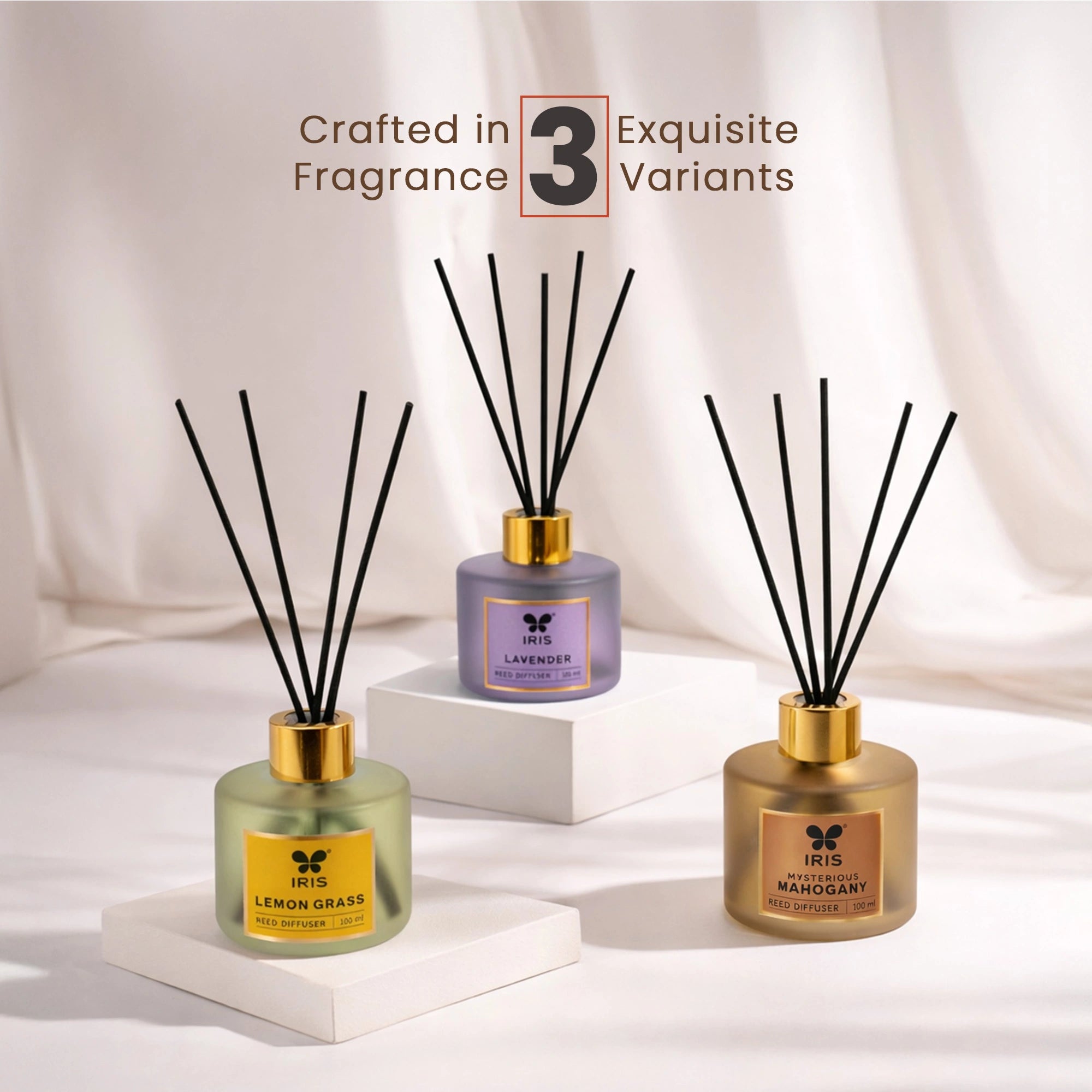 Mysterious Mahagony Frosted Glass Reed Diffuser Set by IRIS |100ml oil and 5 Fibre Reed sticks