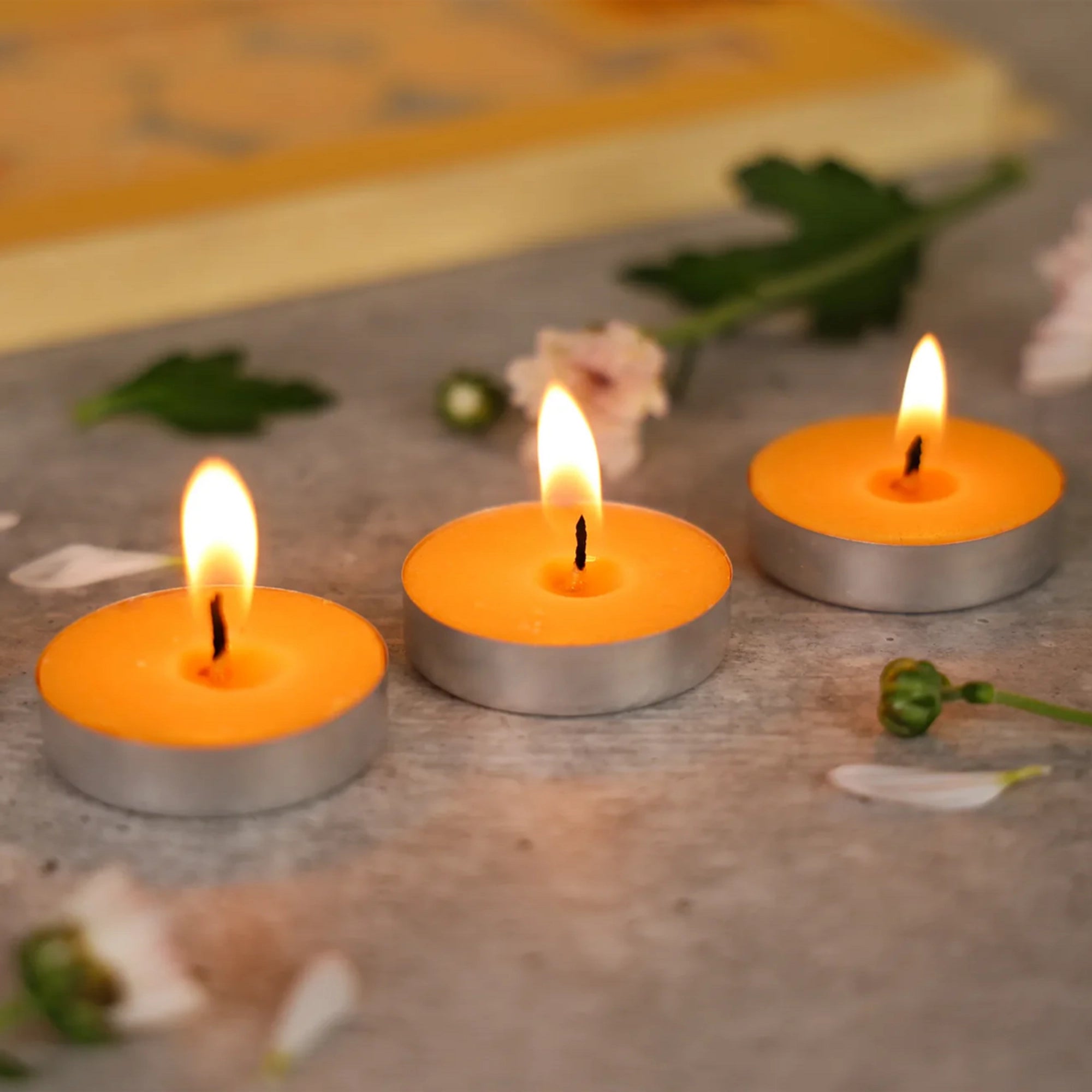 IRIS 15 Pack Fragranced Tealights - Mango Sorbet