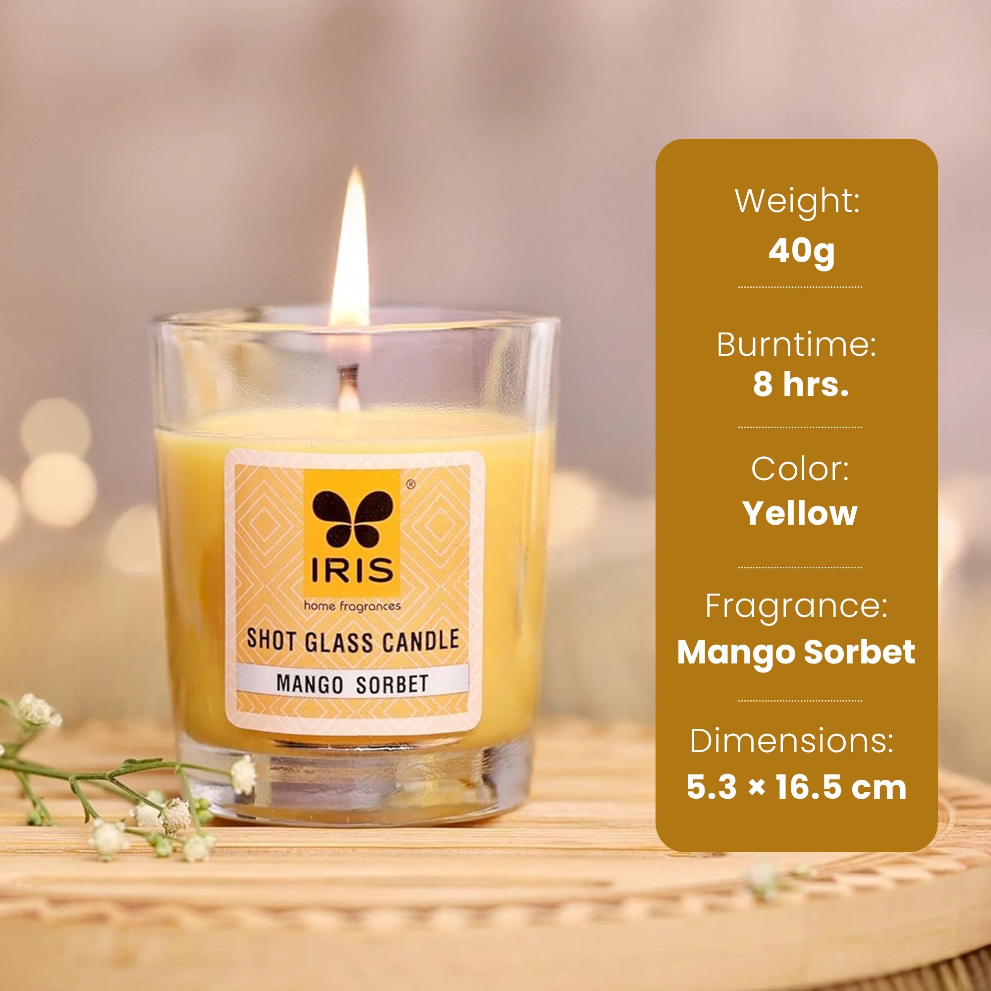 IRIS Shot Glass Candle - Mango Sorbet