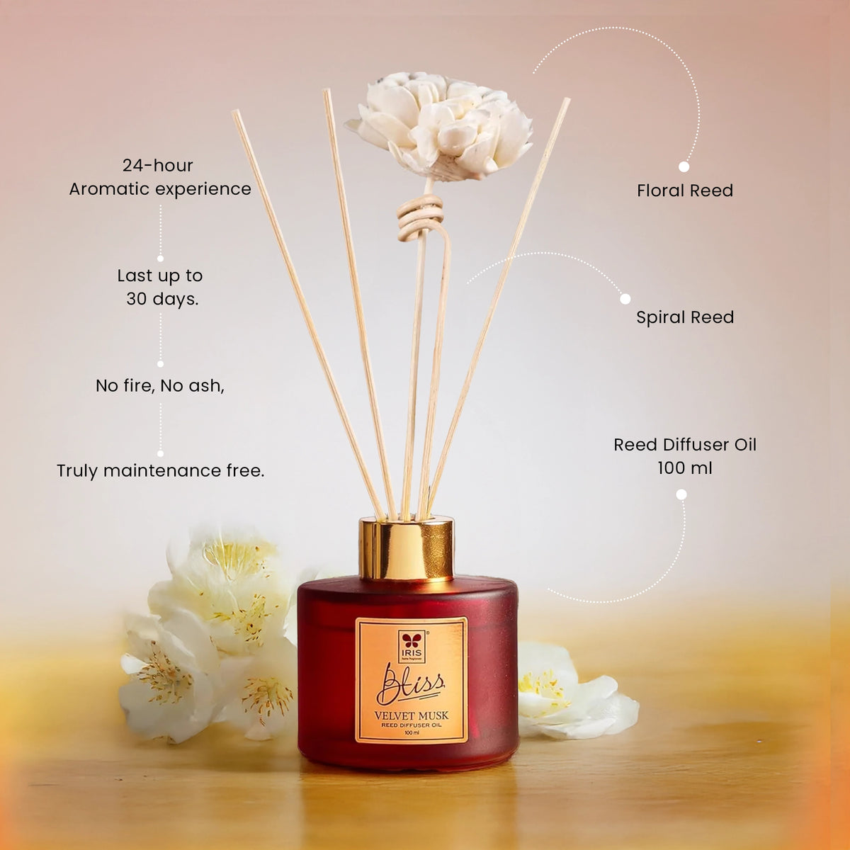 Isiris Reed Diffuser Iris Bliss Velvet Musk Reed Diffuser Set – IRIS Home Fragrances