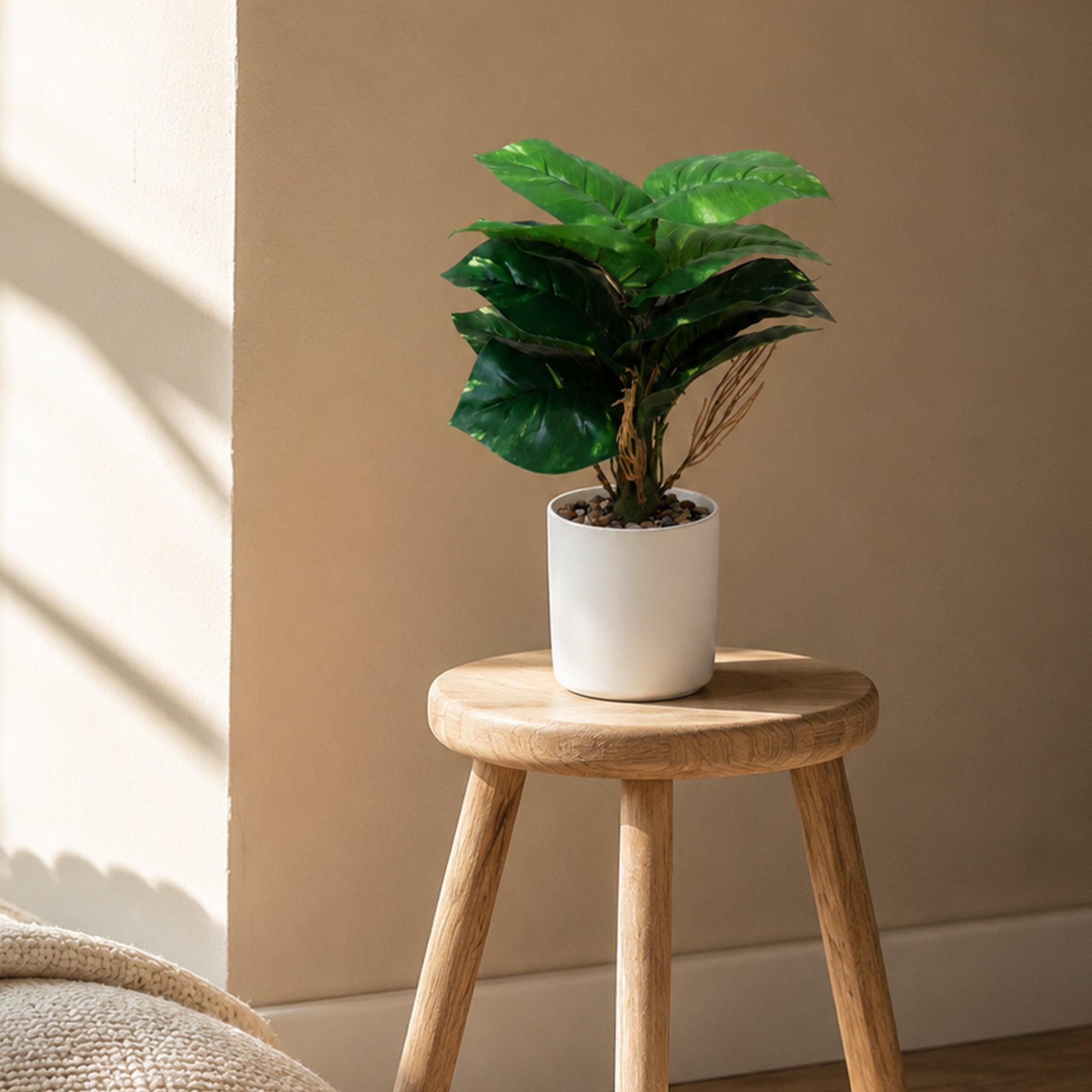 IRIS Money Plant Artificial in White Decor Pot
