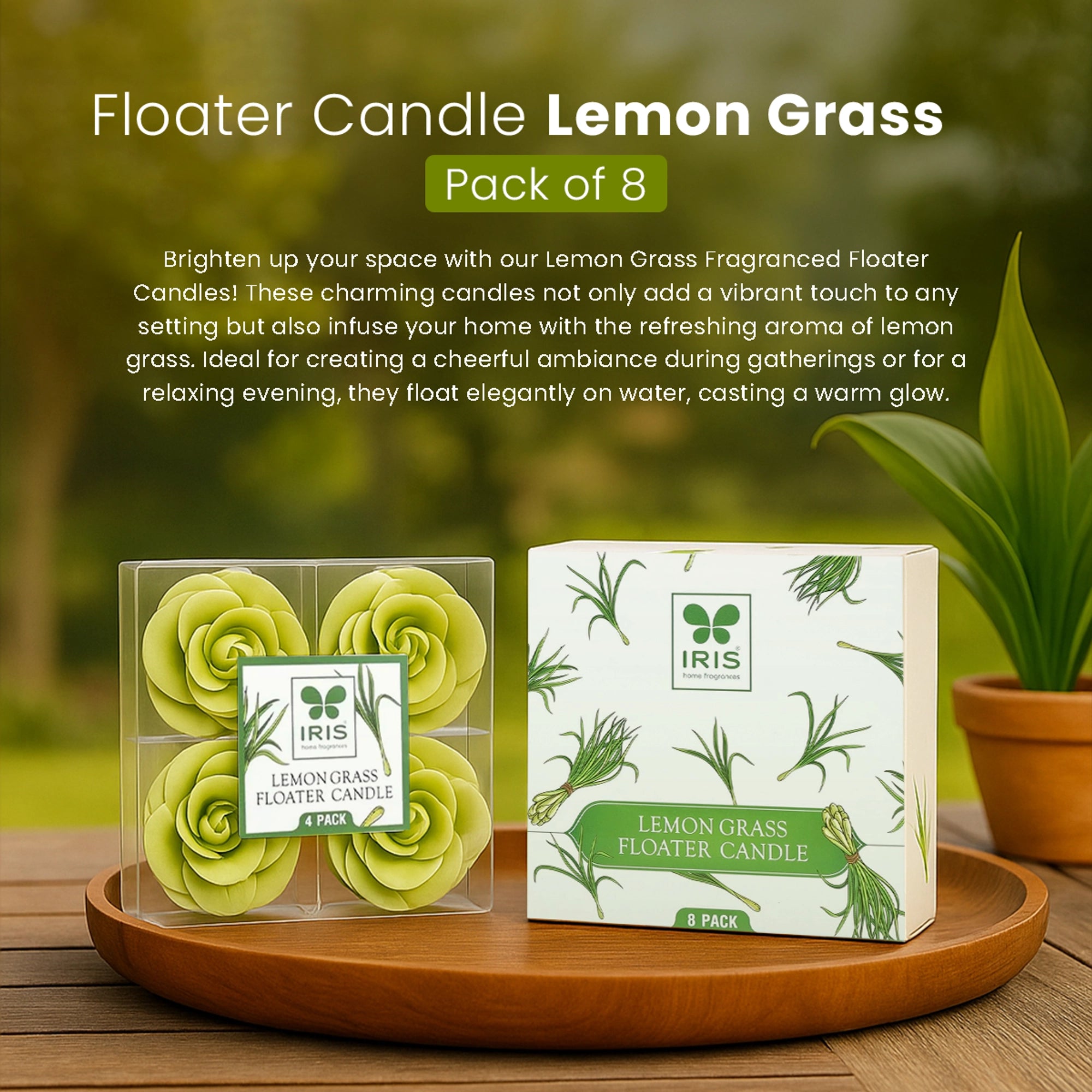 IRIS Lemon Grass Floater Candle Pack of 8