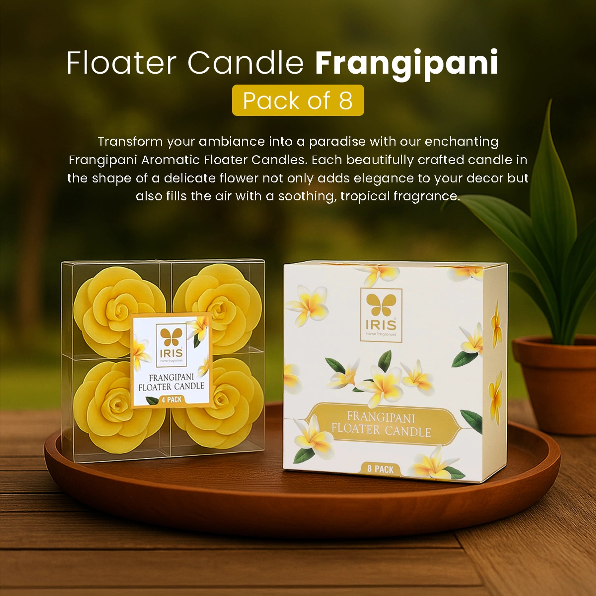 IRIS Frangipani Floater Candle Pack of 8