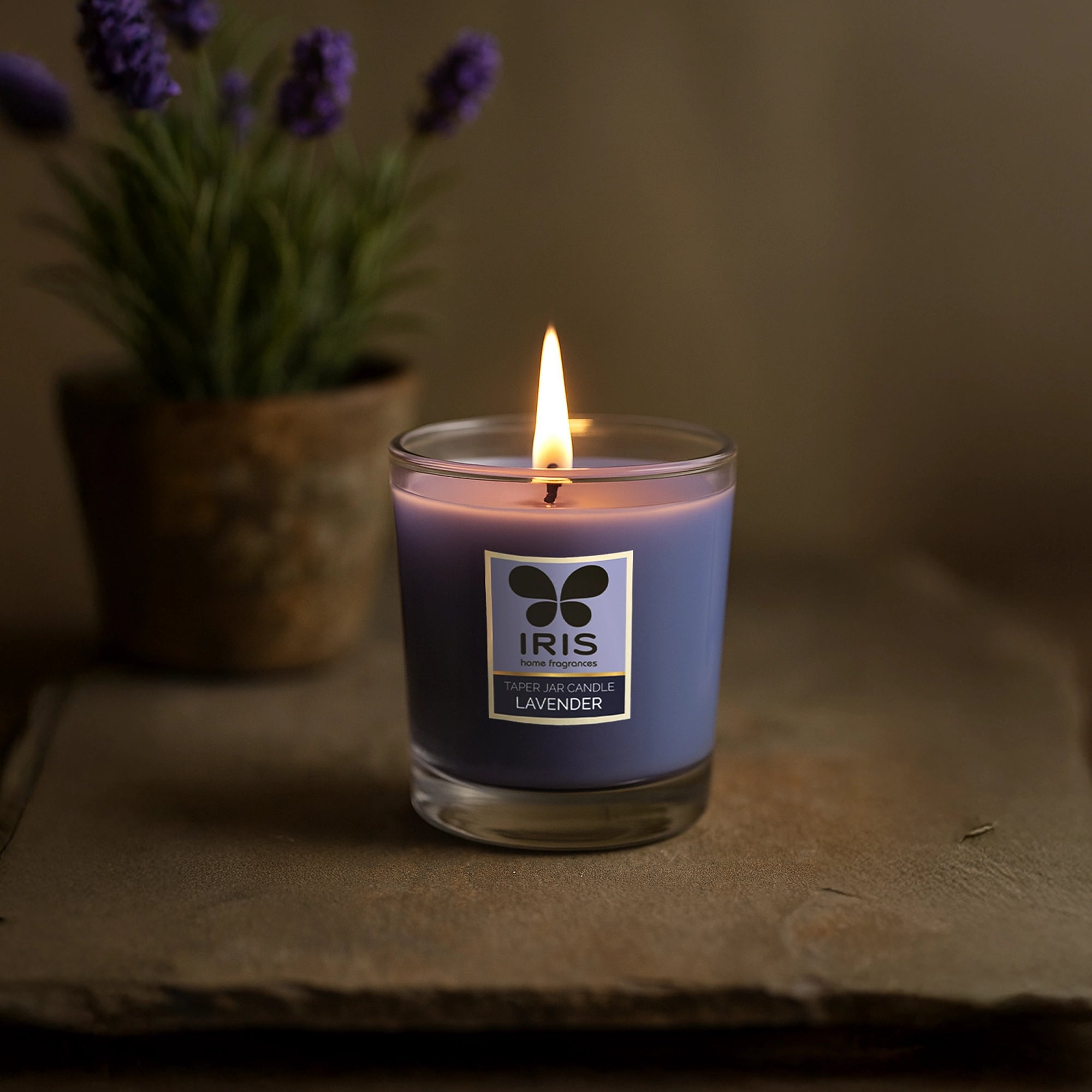 IRIS Lavender Taper Jar Candle