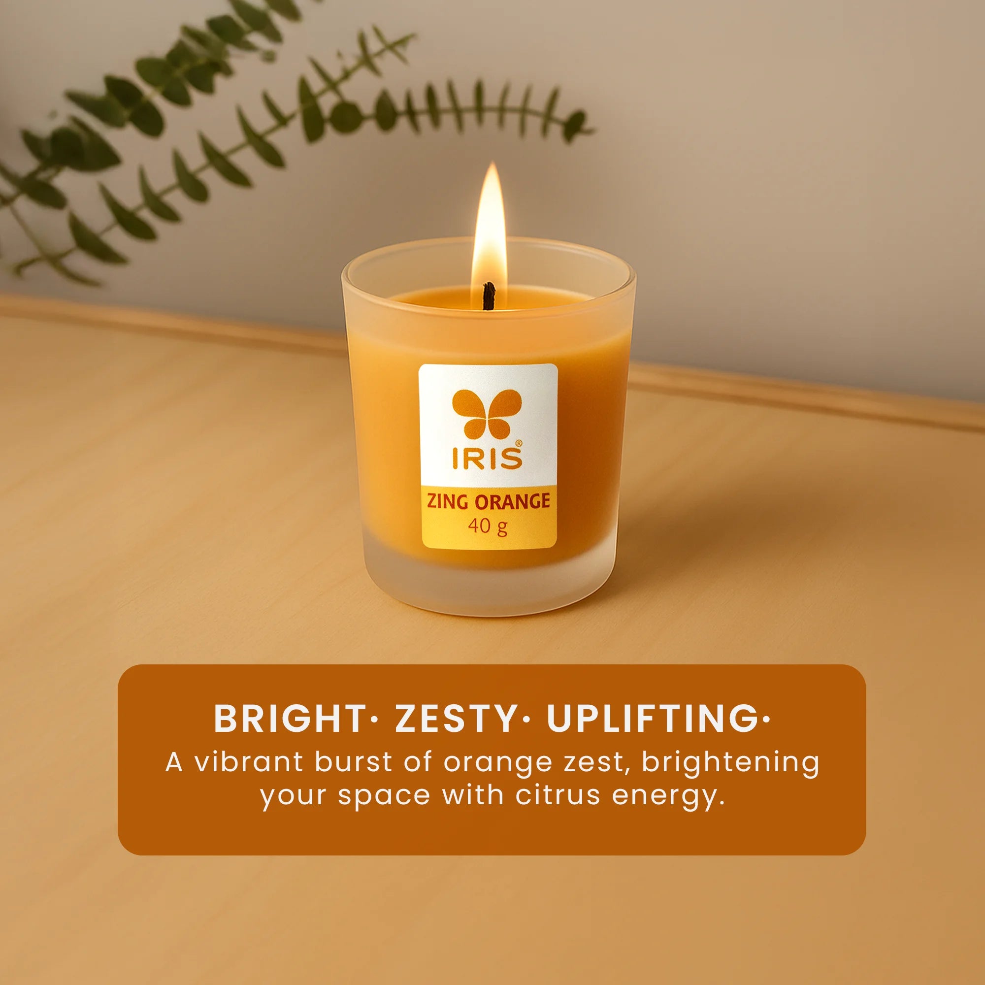 IRIS Zing Orange Frosted Shot glass scented Candle