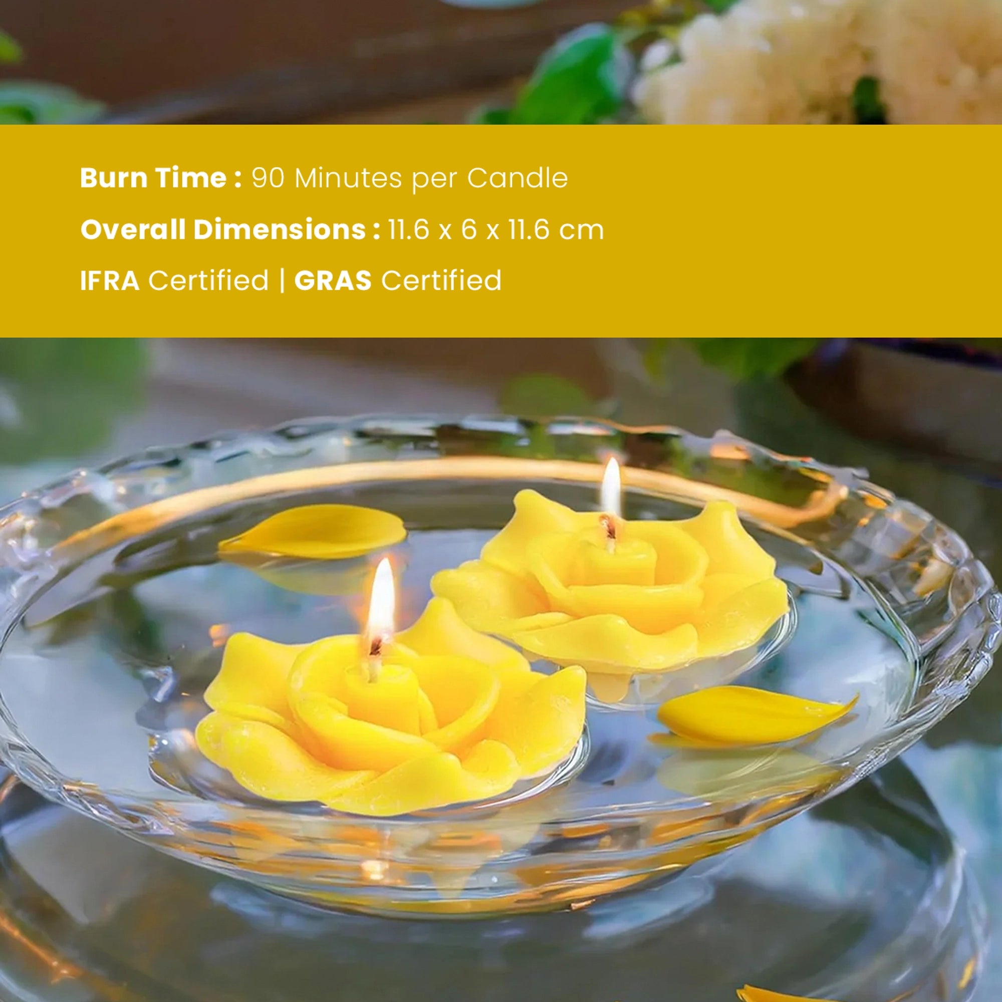 IRIS Frangipani Floater Candle Pack of 8
