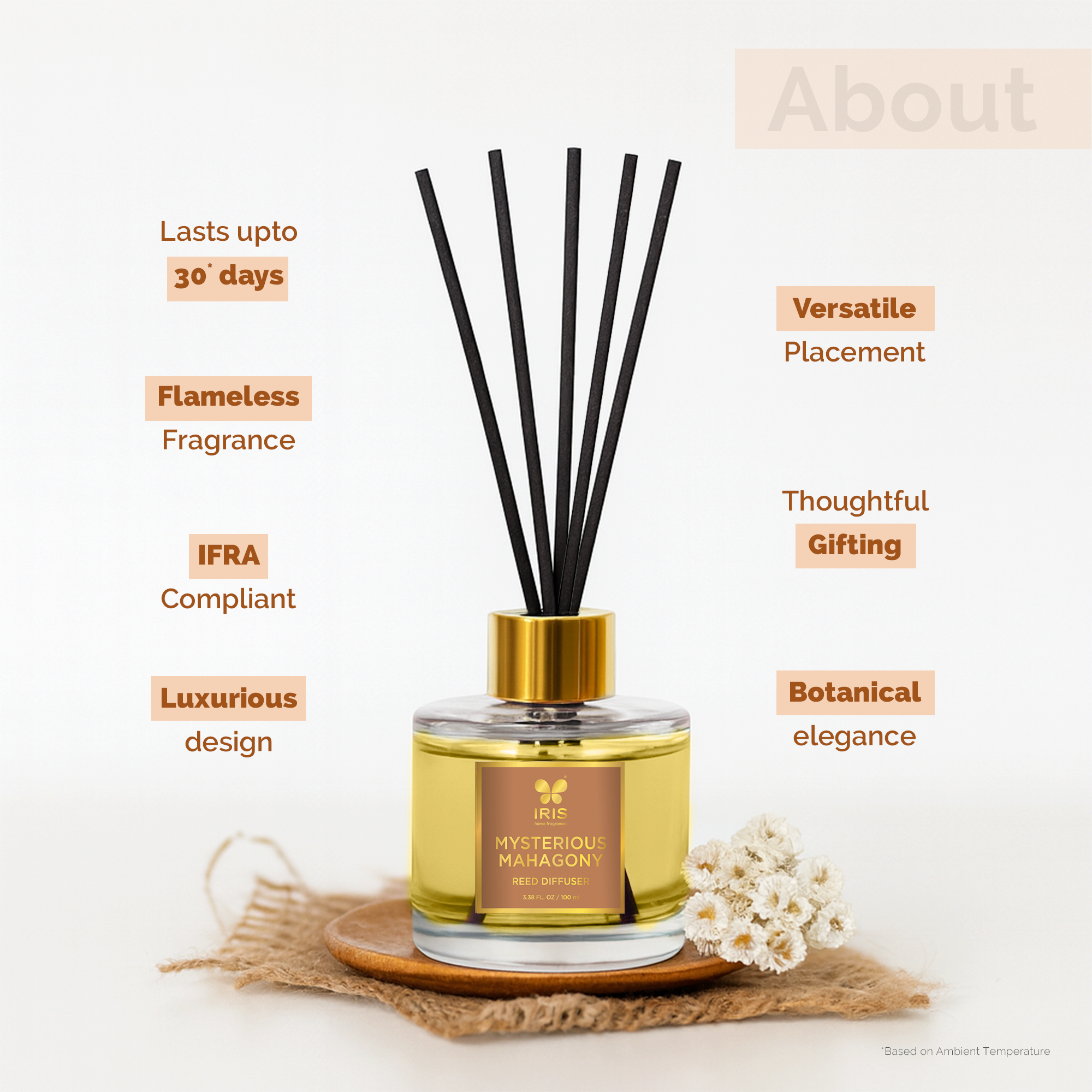 IRIS Mysterious Mahogany Aroma Reed Diffuser Set