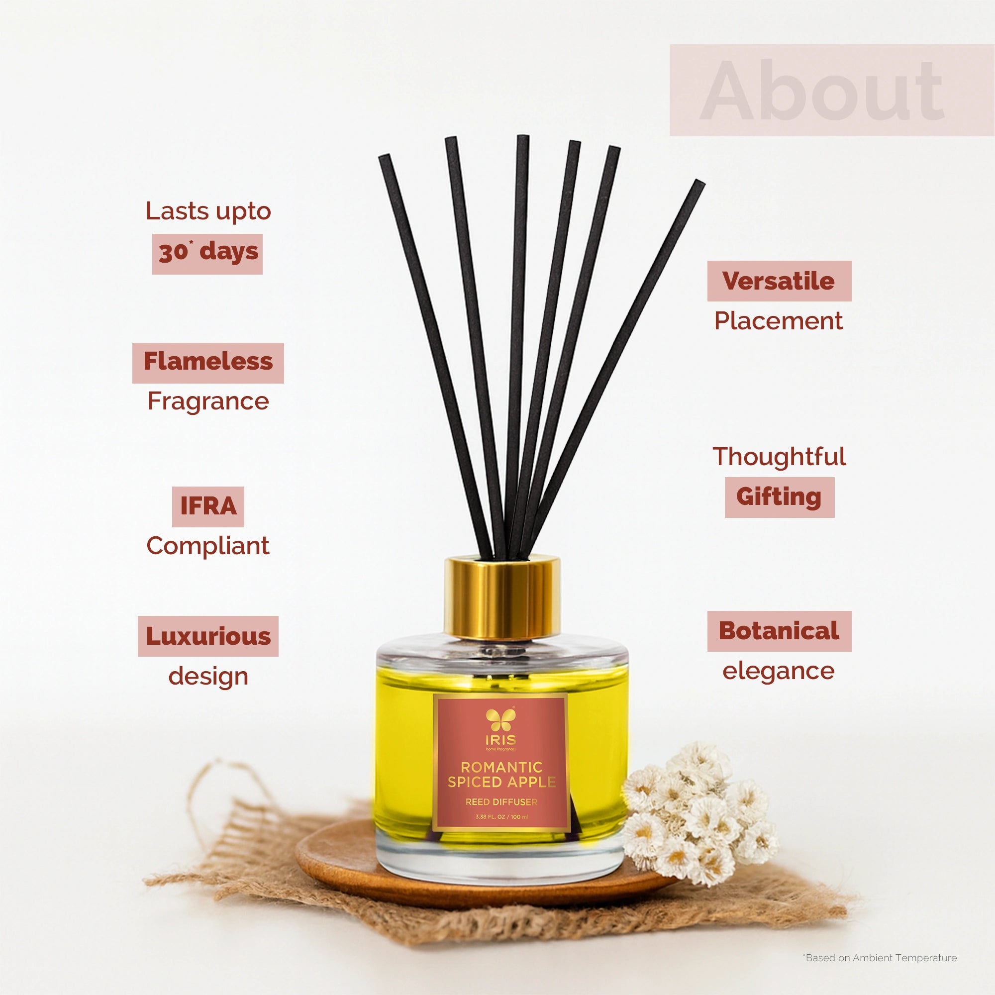 IRIS Spiced Apple Aroma Reed Diffuser Set