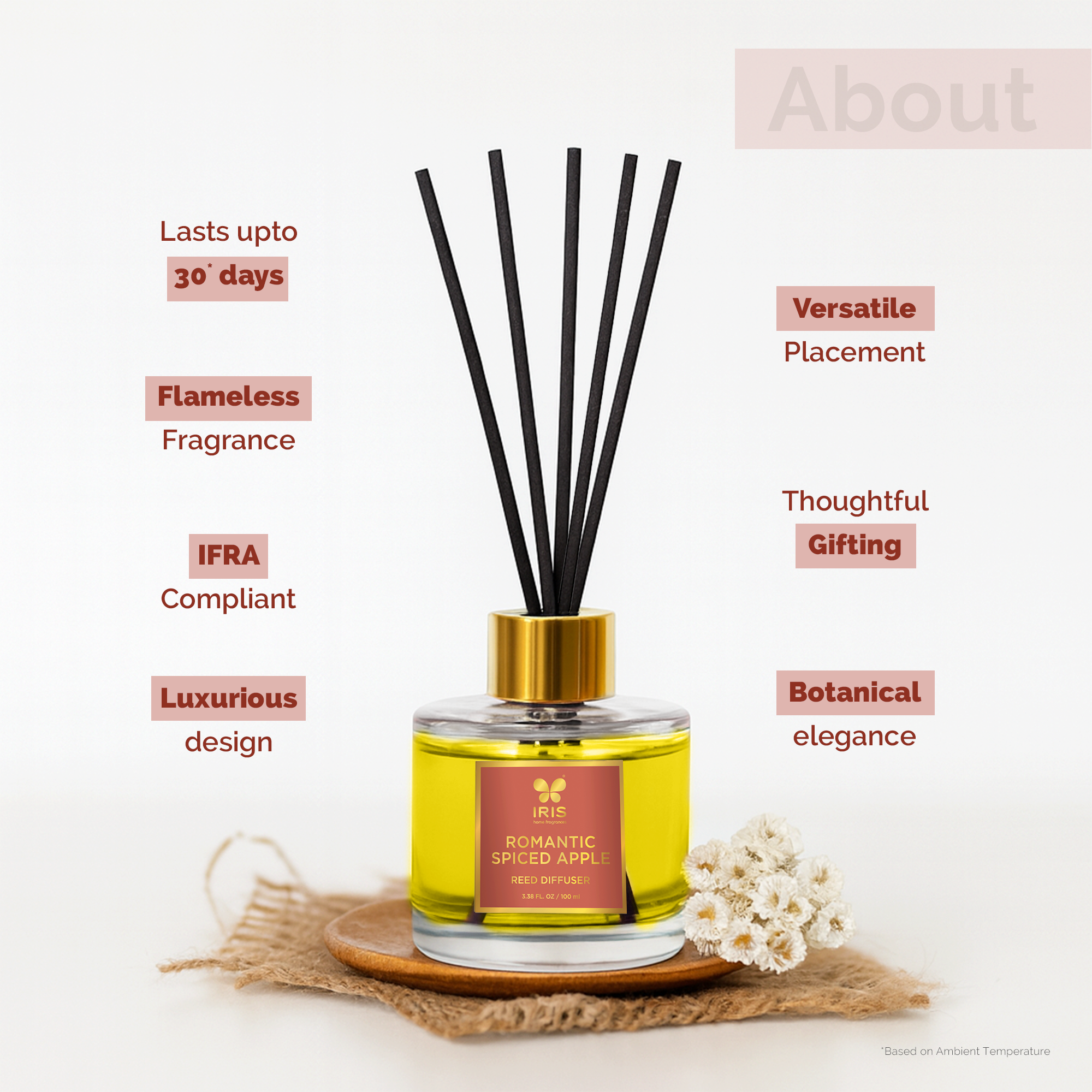 IRIS Spiced Apple Aroma Reed Diffuser Set