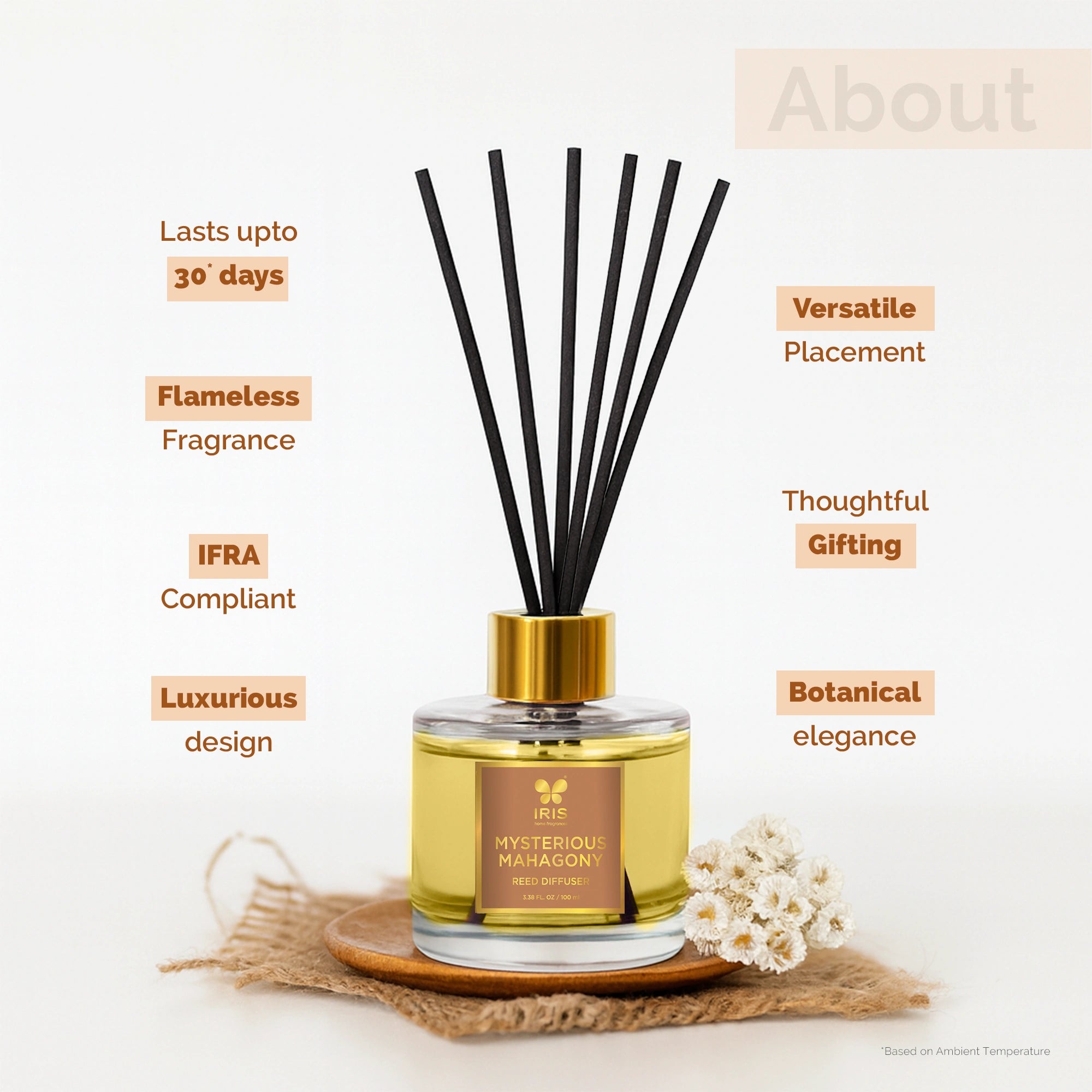 IRIS Mysterious Mahogany Aroma Reed Diffuser Set