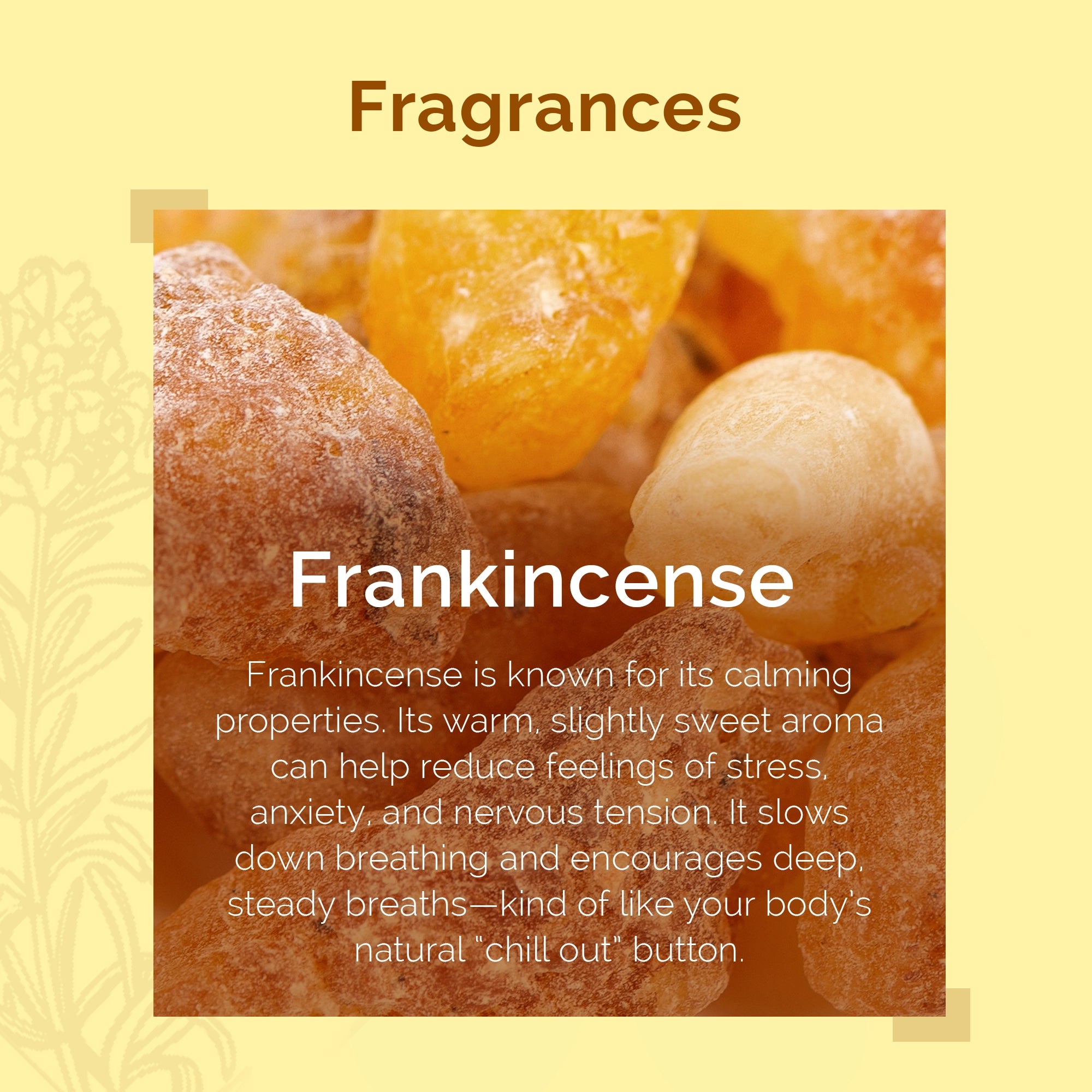 Frankincense Essential Oil by IRIS Aromatherapy