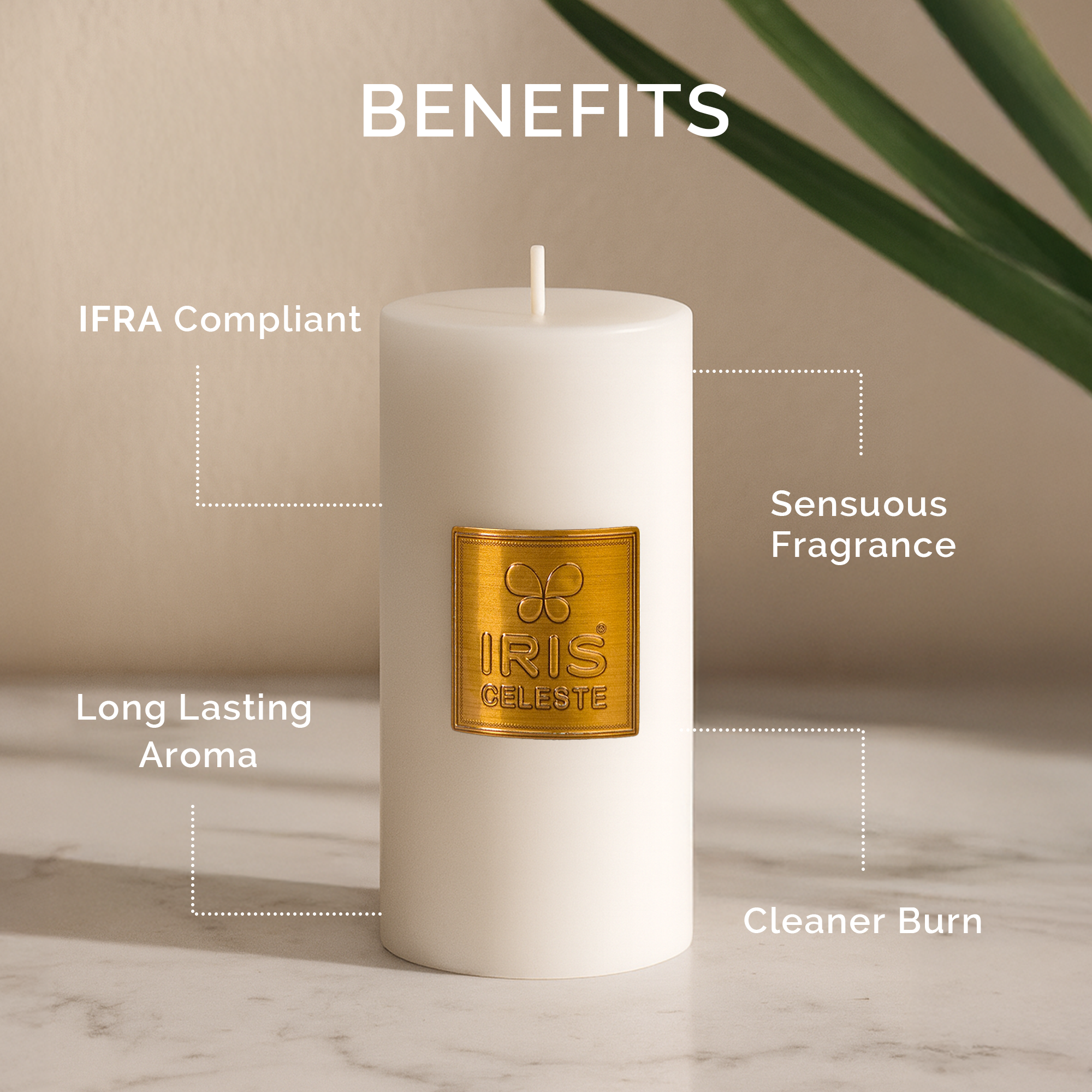 IRIS Celeste White Musk Scented Premium Pillar Candle | Large