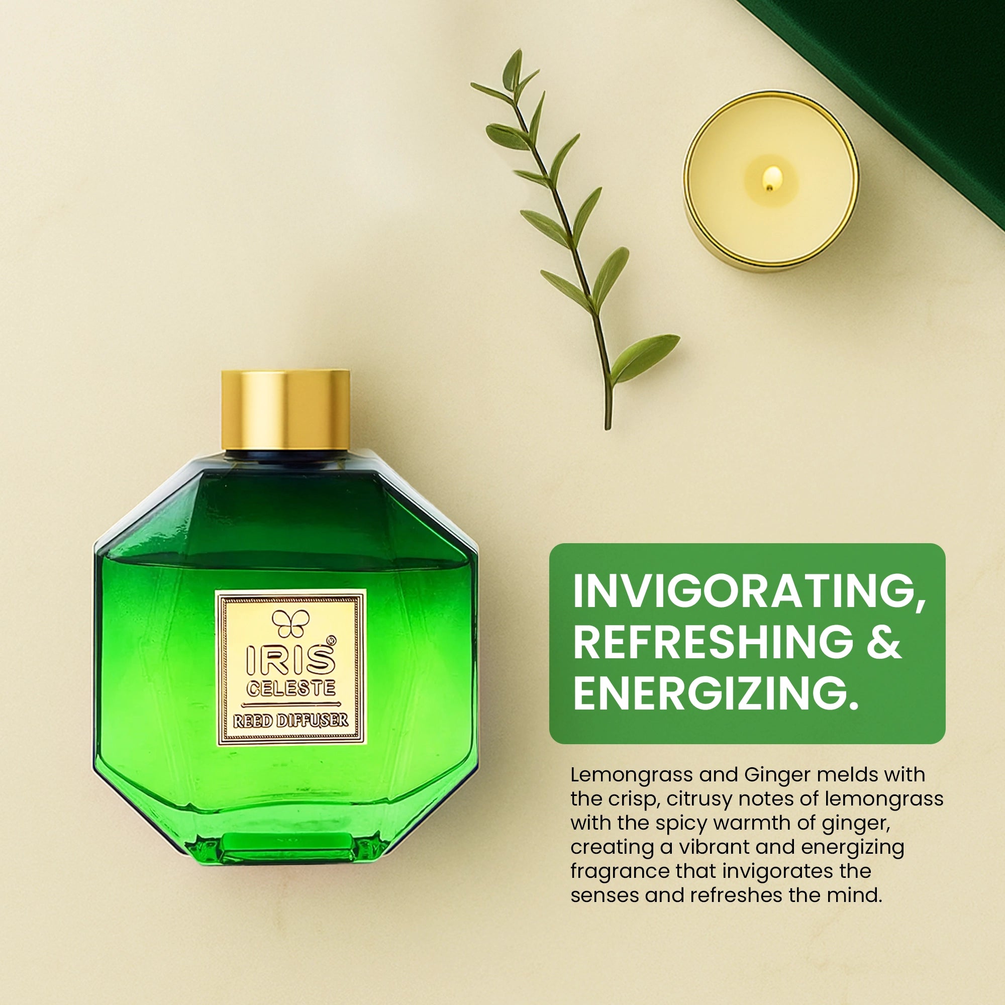 IRIS Celeste Lemon grass & Ginger Reed Diffuser Set
