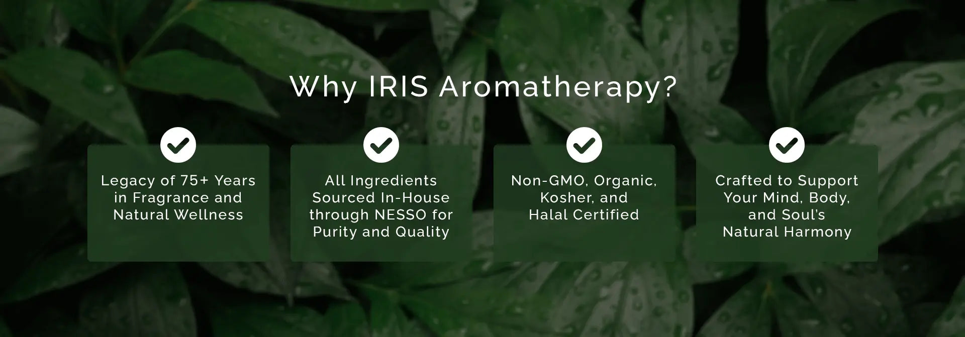 IRIS Home Fragrances image--22